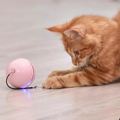 Brinquedo Interativo e Autônomo para Cães/Cachorros e Gatos | PetBall